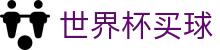 美加墨世界杯买球官方门户 | 赛事平台与登录入口
